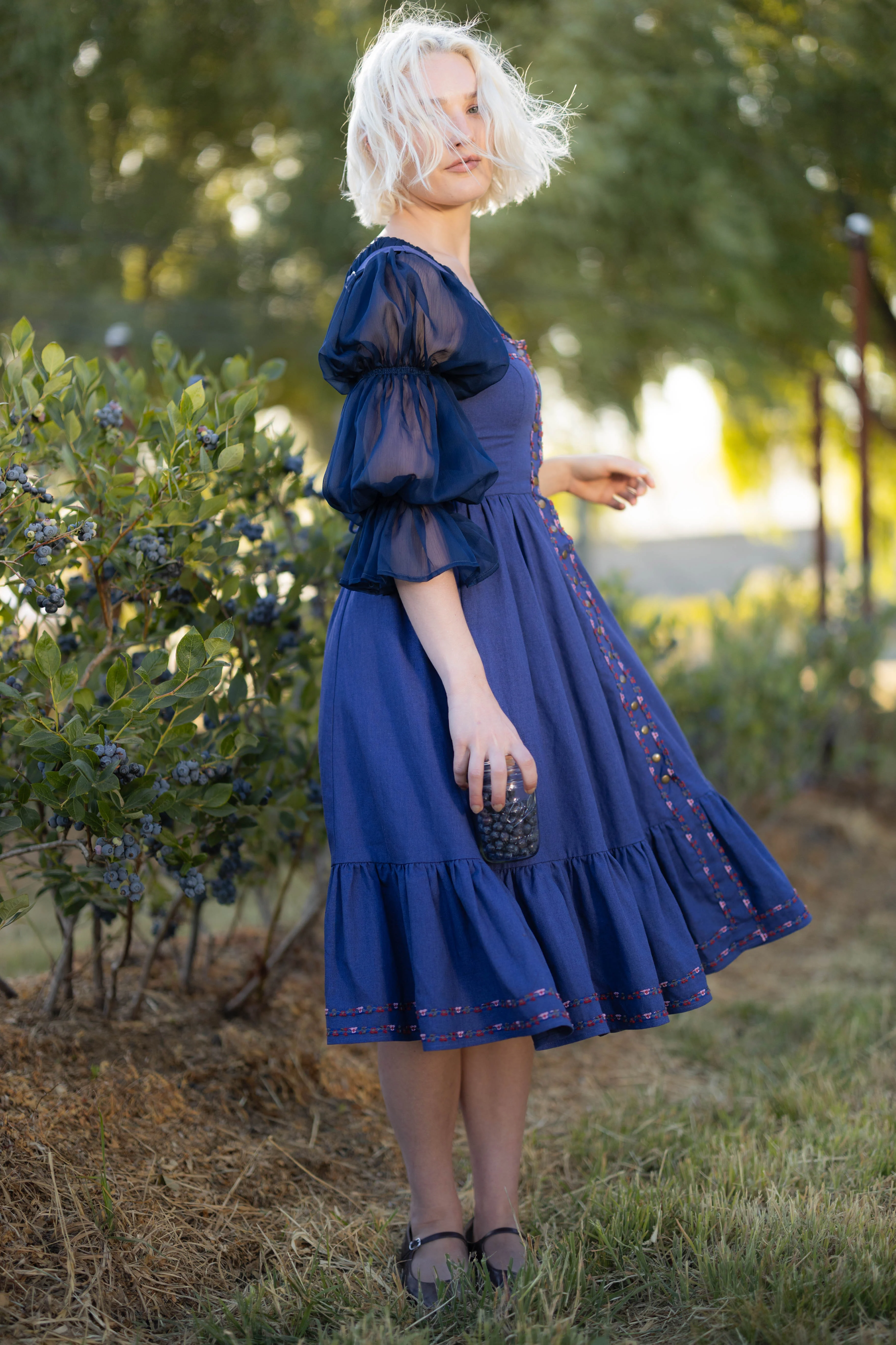 Blueberry Dirndl Dress - Image 4
